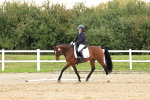 SBM_000155
