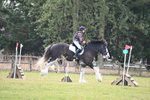 WJ6_9918