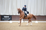 SBM_008709