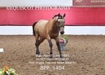 BPP_1404