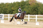 SBM_018681