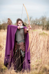 vikings-2