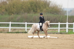 SBM_006292