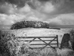 Chained Gate and Coppice, infrared