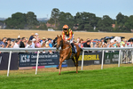 130826-Race 6-Saxon Grace-9898