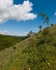 Deep Dale #07
