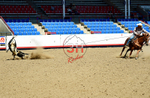 3HRodeo8-11-25_PRCASteer_03500_