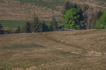 Dockray Hartside-5