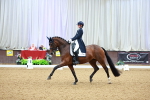 SBM_006936