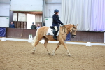 SBM_000729