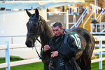 141125-Race 6-Bobbys Fortune-1338