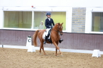 SBM_005016
