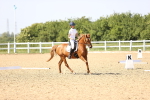SBM_010188