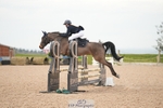 Cls 5 Pony British Novice and 80cm portfolio