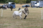 WJ6_5939