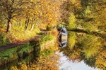 Macclesfield Canal between Bridges 28 and 29 (4)