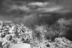 _DSC8338-Enhanced-NR-2-Edit
