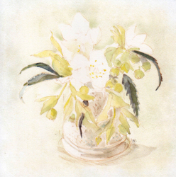 Christmas Roses