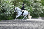 WJ7_8886
