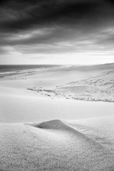 South Africa 2020 portfolio