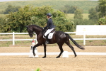 SBM_006217