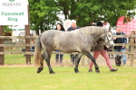 SBM_04089
