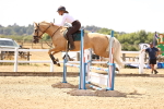 SBM_000797