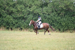WJ6_1357