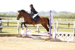 SBM_000781