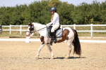 SBM_004833