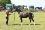 SBM_02426