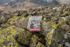 Eskdale Elevation-810