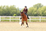 SBM_002815