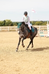 SBM_003484