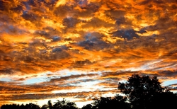 SunBeachWater  _0015