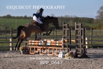 BPP_0647