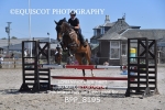 BPP_8195