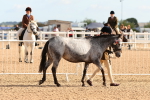 SBM_09186