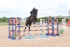 BPP_8524