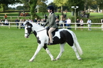 SBM_51837