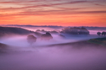 z1698 Dawn Mist, Arreton