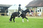SBM_42010