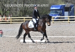 BPP_9252