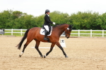 SBM_006577