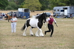 WJ6_5358