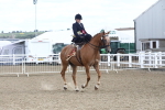 SBM_17409
