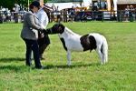 SBM_03442