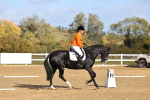 SBM_001116