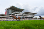 Race 5 4.10pm Assured Data Protection EBF Fillies' Handicap portfolio