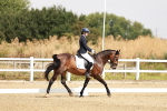 SBM_002555